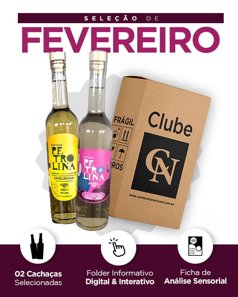 Kit detalhado - Mobile FEVEREIRO